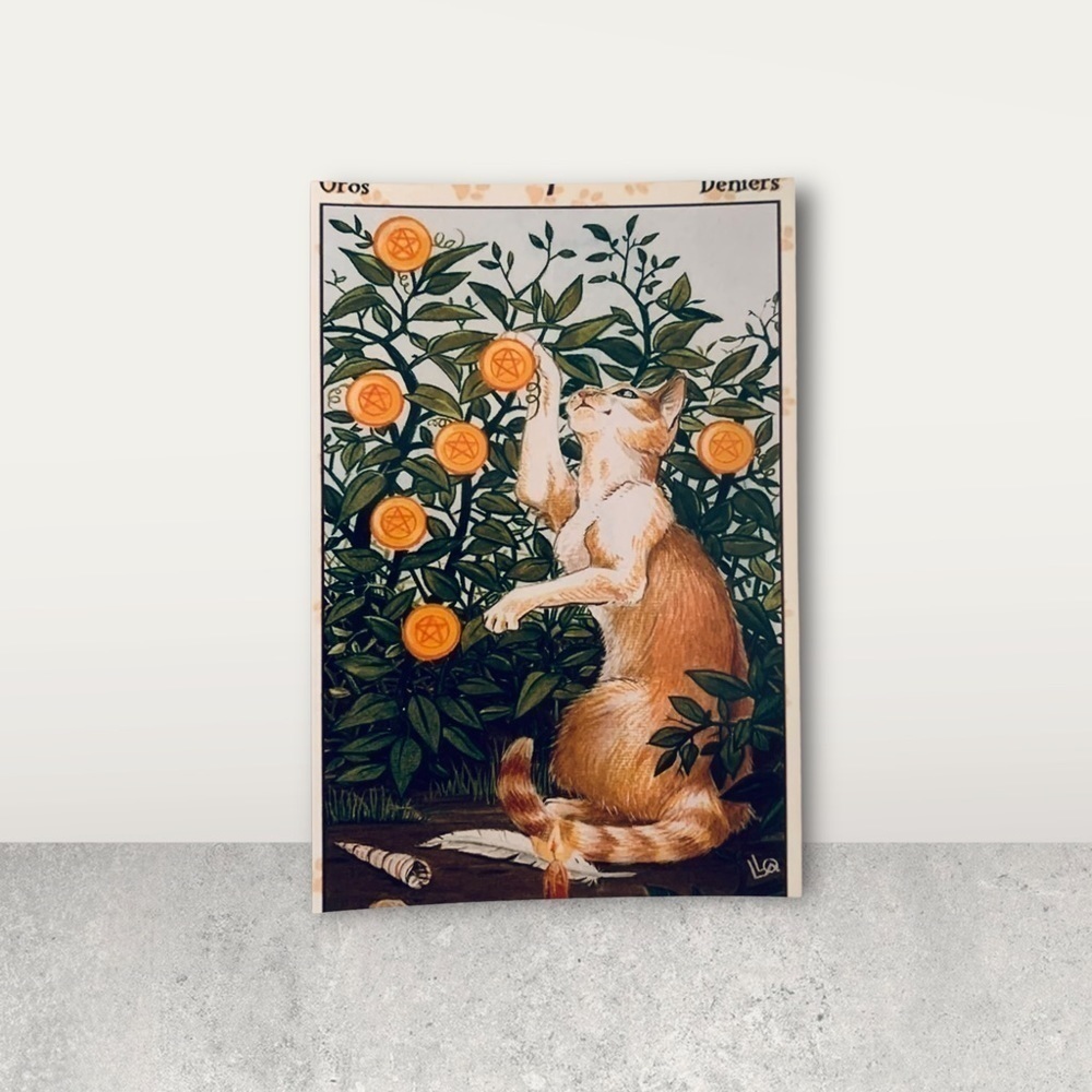 Vintage eclectic cat playing with flowers glossy reprint 4x6” framed with glass 